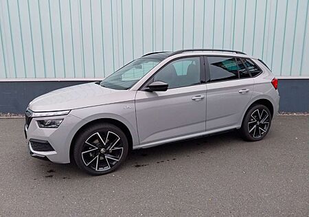 Skoda Kamiq Monte Carlo/ACC/el.HK/BlindSpot/Sound/AHK