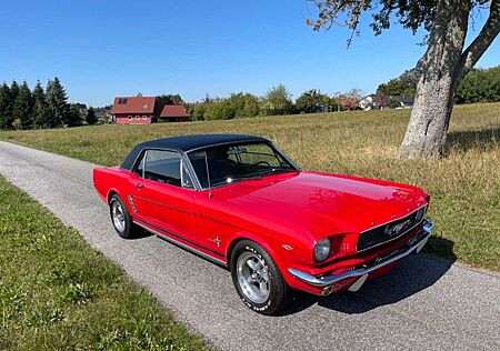 Ford Mustang tolle Farbkombi, schönes Auto