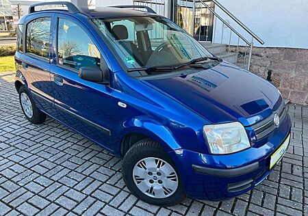 Fiat Panda 1.2 8V Dynamic°Klima°Top Zustand°