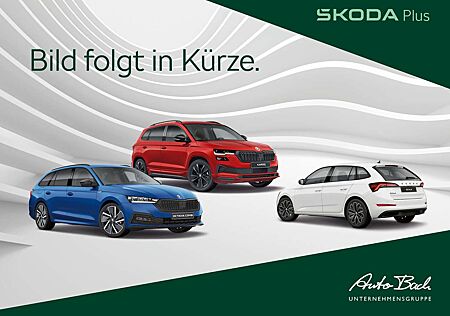 Skoda Kamiq Drive 1.0 TSI 85 kW 7-Gang-DSG