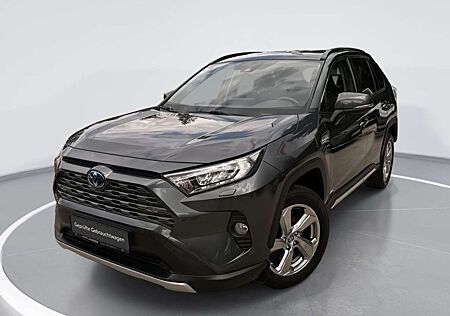 Toyota RAV 4 2.5 4x2 Hybrid Team Deutschland