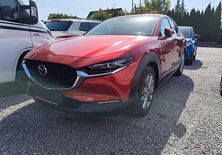 Mazda CX-30 Head Up Kamera el. Heckklappe