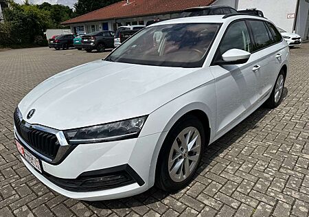 Skoda Octavia Combi 2.0 TDI DSG LED DAB Winterpaket