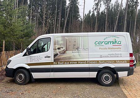 Mercedes-Benz Sprinter 313 CDI (BlueTec) 906.131