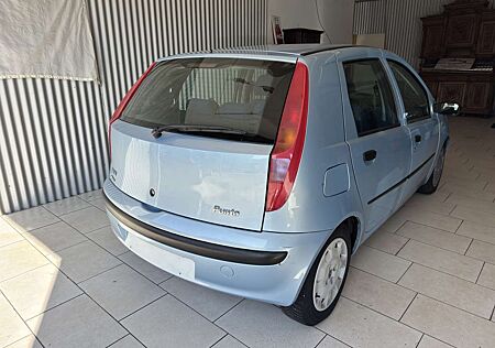 Fiat Punto 1.2 + gepflegter Zustand