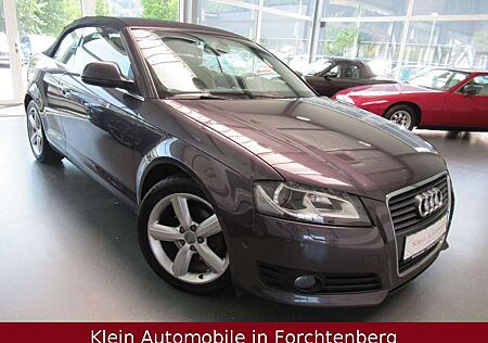 Audi A3 Cabriolet Ambition Aut. Leder Navi Xenon 1.HD