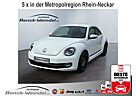 VW Beetle Volkswagen Cup 1.2 TSI Navi Bi-Xenon Sperrdiff. 2-Zonen-Klima