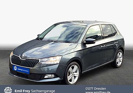 Skoda Fabia 1.0 TSI Ambition PDC v+ h + Rückfahrcam