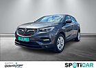 Opel Grandland X Business Edition inkl. Allwetterreifen