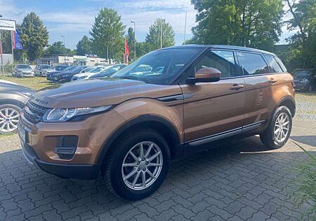 Land Rover Range Rover Evoque Pure=Automatik-Sitzheiz-Temp=