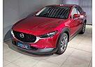 Mazda CX-30 Selection X-180/AWD/Des-P./Act-P./Navi/Head-Up/360