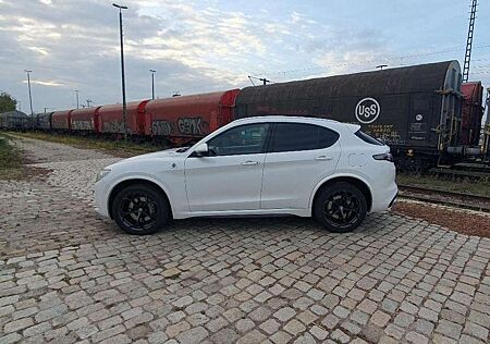 Alfa Romeo Stelvio Quadrifoglio Q4 2Hd Pano, Assistenten Memory...