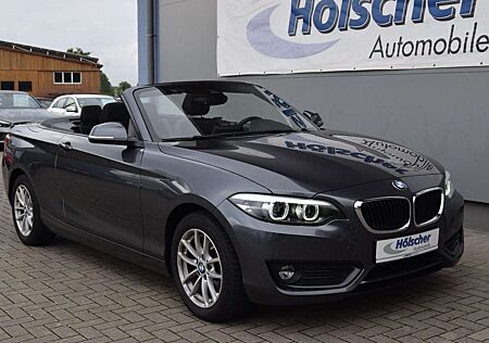 BMW 218 Cabrio !AUTOM! Advant,Parks,V&H,Sitzh,Navi,