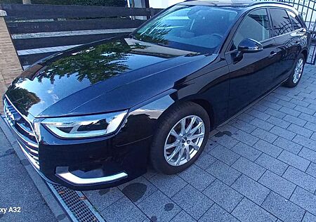 Audi A4 gebraucht kaufen Audi A4 Avant 35 TDI S tronic advanced Mild-Hybrid