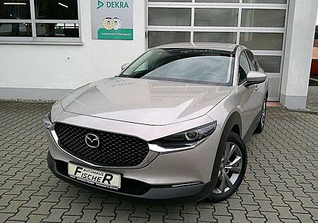 Mazda CX-30 SKYACTIV-X 186 AT Selection AHK/ALLWETTER/