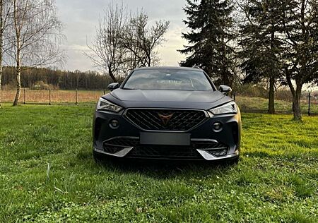 Cupra Formentor VZ 2.0 TSI 4Drive DSG