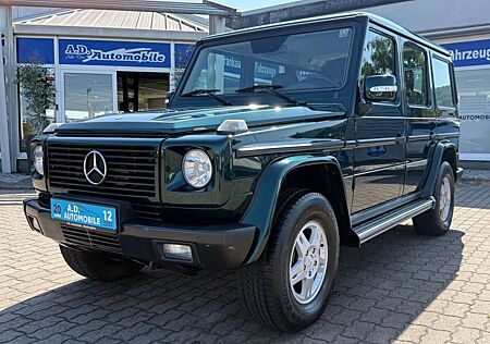 Mercedes-Benz G 270 Andraditgrün Standhzg. Vollleder NAVI AHK
