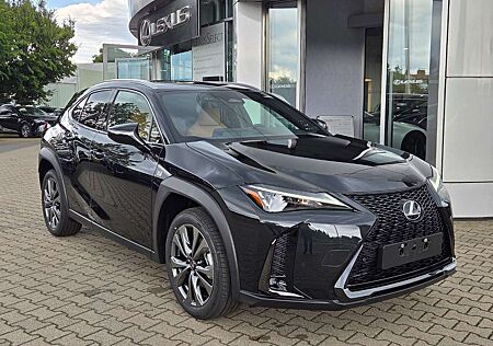 Lexus UX 300h F Sport Design Kamera, SHZ, LED, Navi