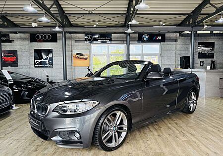 BMW 218 i Cabrio M-Sportpaket*LEDER*BI-XENON*NAVI*