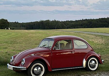 VW Käfer Volkswagen 1500
