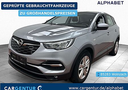 Opel Grandland X 1.5 D Business Edition BLIS LED RKam