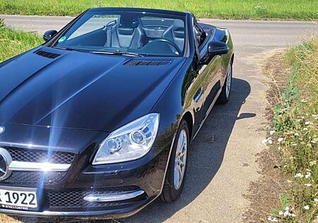 Mercedes-Benz SLK 200 Inspektion NEU,Volleder,Xenon, top gepflegt uvm.
