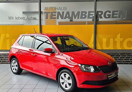 Skoda Fabia Cool Edition SHZ USB