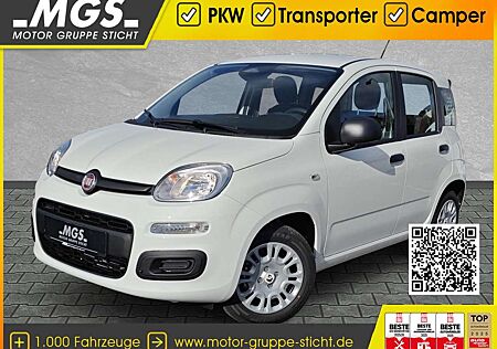 Fiat Panda Pandina POP Hybrid #KLIMA #PARKSENSOREN