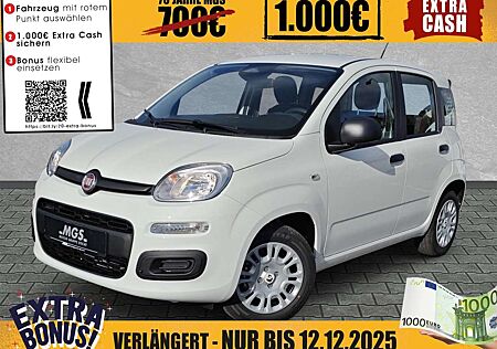 Fiat Panda Pandina POP Hybrid #KLIMA #PARKSENSOREN