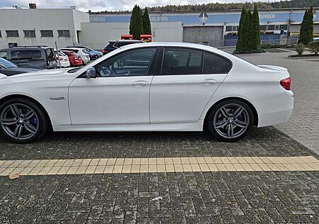 BMW 520d 520 Aut. M-paket Steuerkette komplett neu