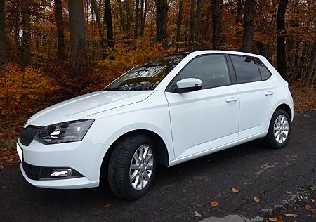 Skoda Fabia 1.2 TSI Style*1. Hd.*39 tkm*Panoramadach