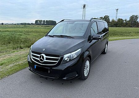 Mercedes-Benz V 250 CDI/BT/d EDITION lang (447.813)