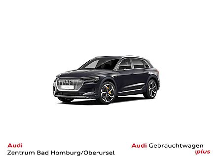 Audi e-tron advanced 55 quattro S line*Navi*Matrix*Al