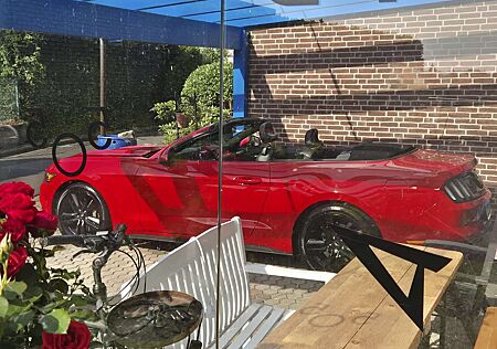 Ford Mustang Feinster Langstrecken- Cabrio 2.3 Eco Boost
