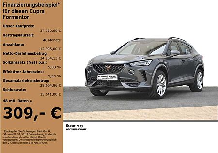 Cupra Formentor 1.5 TSI DSG Navi Led Sitzheizung