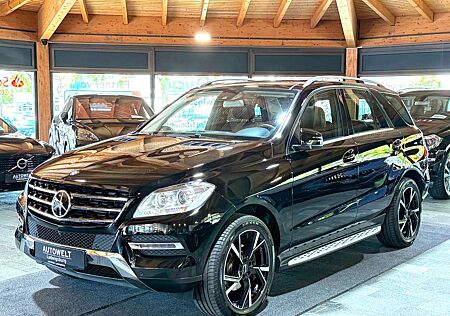 Mercedes-Benz ML 250 CDI Sportpaket 7G-Tronic