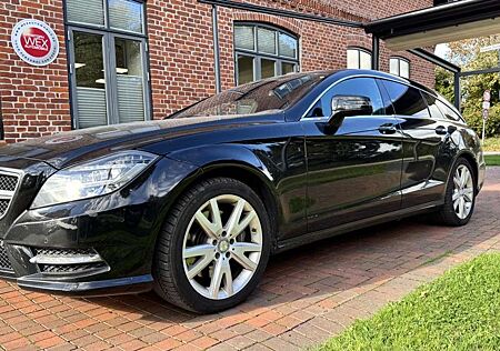 Mercedes-Benz CLS 350 CDI BE 4Matic (218.993)