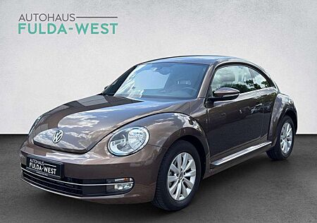 VW Beetle Volkswagen 1.6TDI DSG Design Klimaaut. Einparkh. SHZ