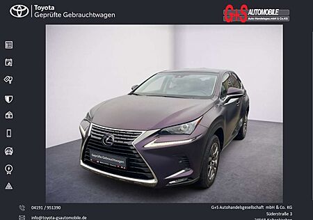 Lexus NX 300 300h E-FOUR Launch Edition