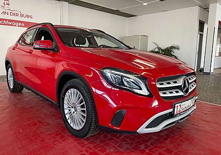 Mercedes-Benz GLA 200 d 4Matic * 360° Kamera * LED