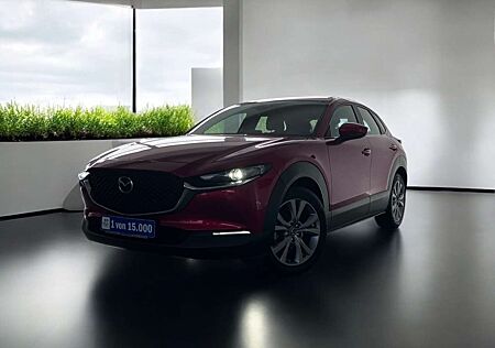Mazda CX-30 SKY-G 120 M Hybrid Selection Automatik - Leder/ Na