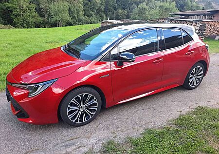 Toyota Corolla Corolla Hybrid 1.8 Hybrid Team Deutschland