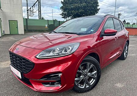 Ford Kuga ST-Line X Head-up, AHK, Panorama