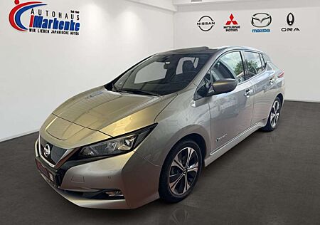 Nissan Leaf 40 kWh Winter, Allwetter
