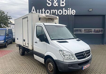 Mercedes-Benz Sprinter 313 CDI 1 Hand Tüv 08/26 Kühlwagen