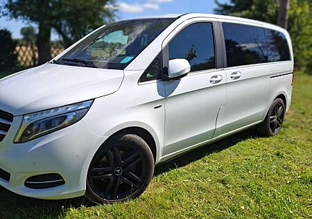 Mercedes-Benz V 250 (BlueTEC) d kompakt 7GTRONIC Avantgde Edition