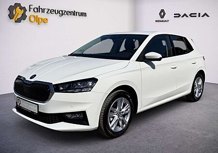 Skoda Fabia Selection, LED, ACC, Winterräder