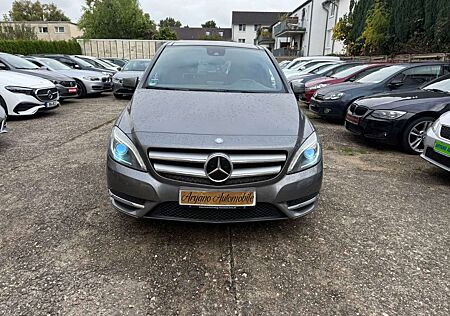 Mercedes-Benz B 250 gebraucht kaufen Mercedes-Benz B 250 *Avangarde*Aut*Klima*Pano*Xenon*PDS*EU 6