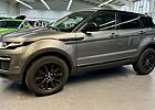 Land Rover Range Rover Evoque SE*Pano*AUT*Leder*Kamer