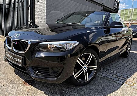BMW 218 i Cabrio Autom.LEDER LED NAVI